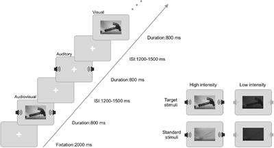 Audiovisual integration of the dynamic hand-held tool at different stimulus intensities in aging